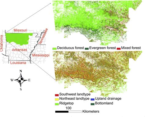 Forestry Model 4 的图像结果
