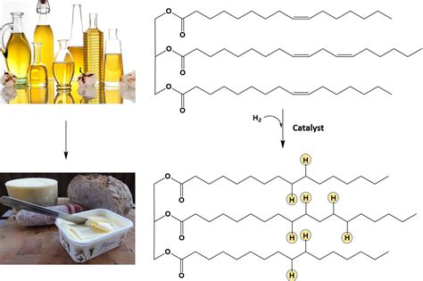 Vegetable Oil Hydrogenation Reaction at Angela Link blog