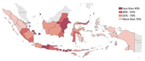 Sustainable Financing for New Vaccines in Indonesia: Challenges and ...