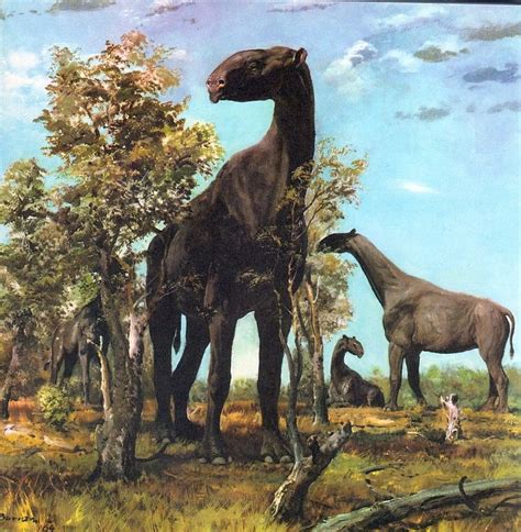 Extinct 的图像结果