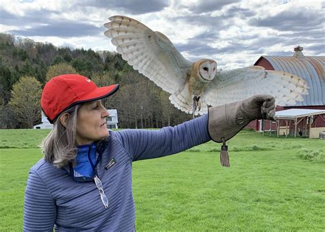 Falconery in the Green MountainsThe Inn at Ormsby Hill