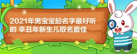 2021年男宝宝起名字最好听的 辛丑年新生儿取名最佳_今日更新/实时 - 宝宝起名