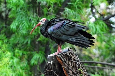 Verloren Vallei Nature Reserve, Escarpment
