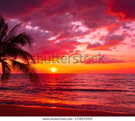 Image result for Sunset Climb O2