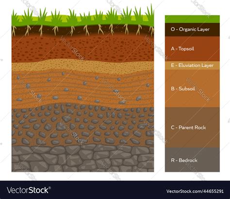 Earth Soil 的图像结果