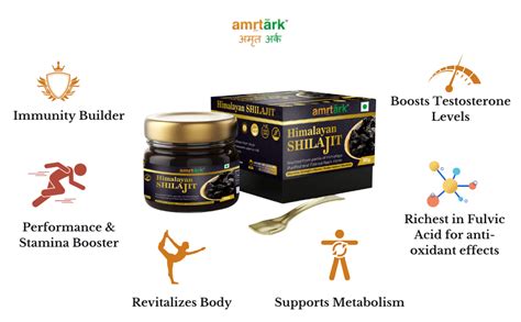 AmrtArk Himalayan Shilajit Resin - 30g | Ayurvedic & Herbal | Lab ...