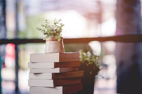 Image result for Book Report Introduction Examples