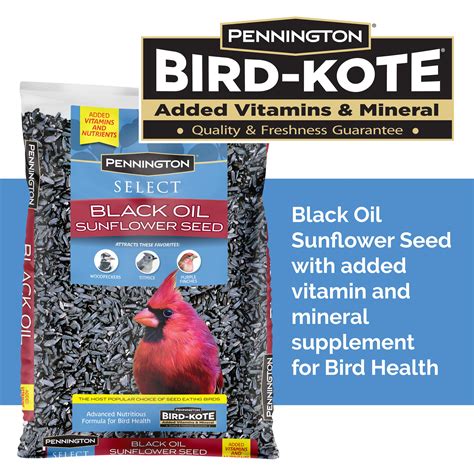 Pennington Select Black Oil Sunflower Seed Wild Bird Feed, 10 lb. Bag ...