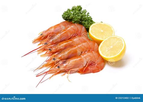 Argentine red shrimp stock photo. Image of eating, animal - 23212402