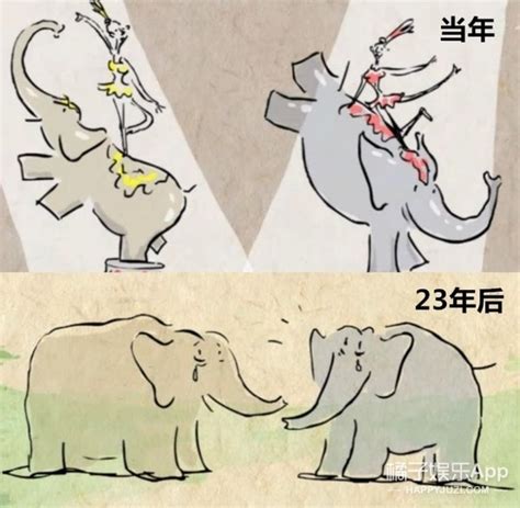 [真相帝]大象记忆力和人类有一拼,23年前的事都记得!