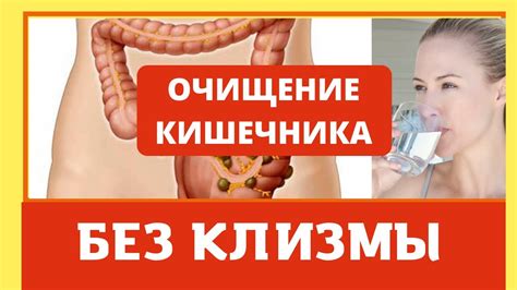 Как почистить кишечник в домашних условиях без клизмы