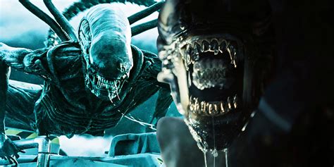 Image result for Alien Covenant Vs. Romulus