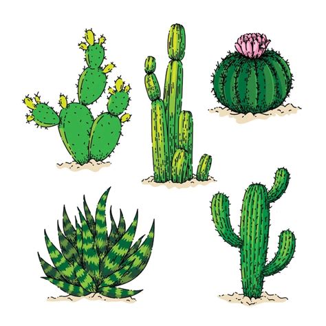 Cactus dessert schets hand getekende vector | Gratis Vector