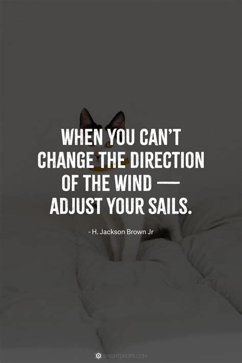 56 Quotes on Having a Positive Attitude & Hard Work - Bright Drops