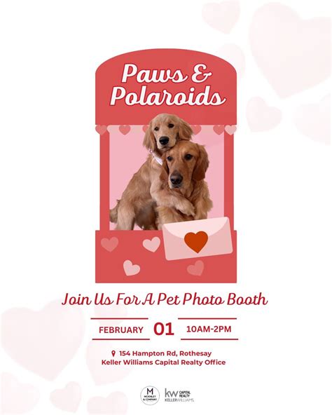 Paws & Polaroids , 154 Hampton Road Rothesay Nb, 1 February 2026 ...