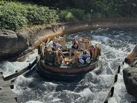 Complete Guide to Disney Animal Kingdom Rides & Shows (2026)