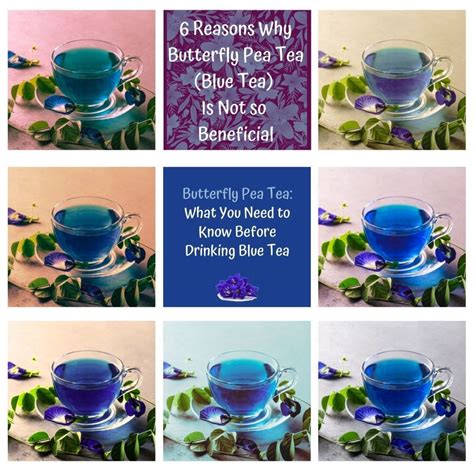 Butterfly Pea Tea (Blue Tea) Benefits, Myths, and Facts