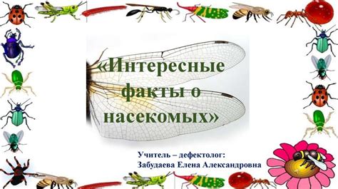 Интересные факты о насекомых - презентация онлайн