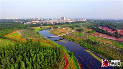 沧州大运河发展（集团）有限责任公司2021年公开招聘工作人员公告 - 通知公告 - 沧州大运河发展（集团）有限责任公司
