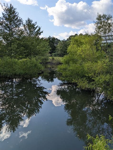 22 Pathways to Serenity: The Best Hiking Spots in Cambridge ...