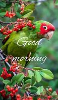 Image result for Funny Goid Morning