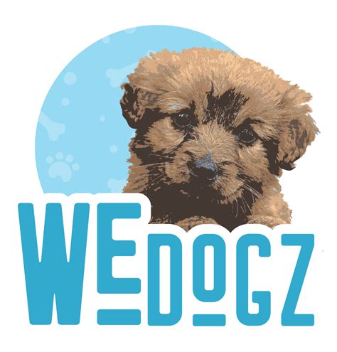 Dog Headache: What It Means and When to Worry