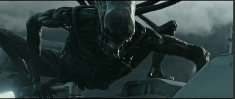 Image result for Alien Cov