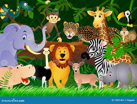 Animal Cartoons 的图像结果