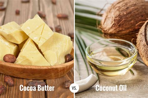 Cocoa Butter vs Coconut Oil - Better Shea Butter
