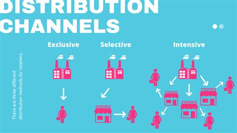 Distribution Channels Definition Types Of Distribution 17.2: Types Of