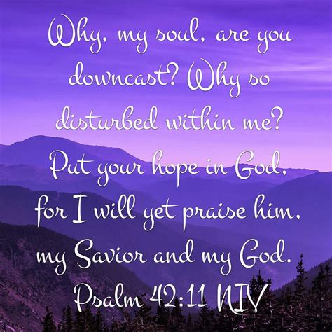 Psalm 42:11 - Put Your Hope in God
