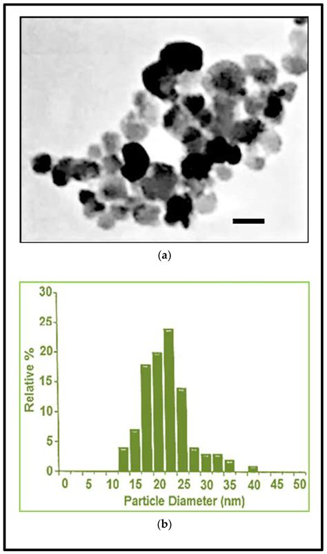 Developmental Neurotoxicity Screening for Nanoparticles Using Neuron ...