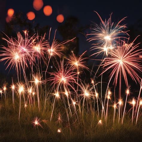 User | smdailypress.com - Celebrating Independence Day with Relaxation ...