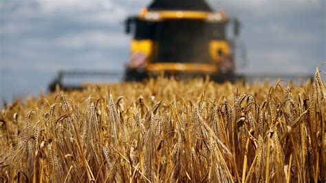 中国持续增加进口大麦和小麦，极大促进了法国出口 : eccu