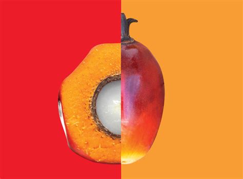 Global Oil & Fats Business Online – gofbonline.com