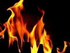 Woman, two children die in fire in Himachal Pradesh