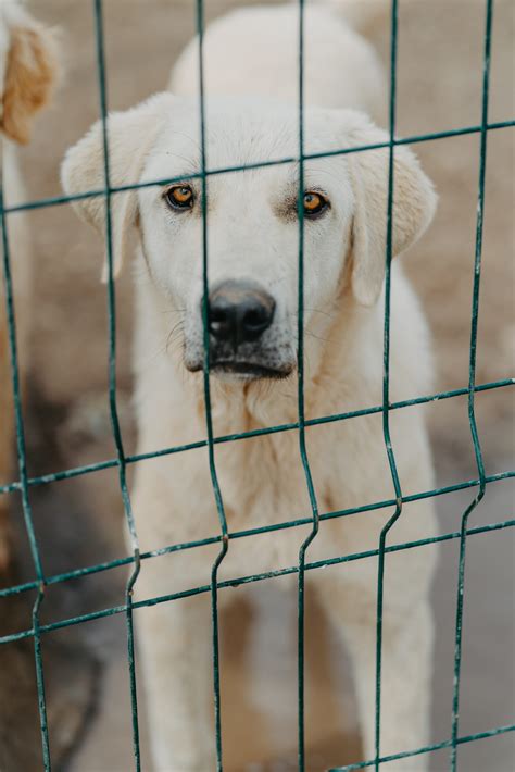 Update aus Ankara - Care 4 Life