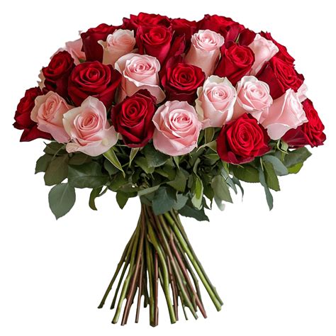 Roses Birthday Flowers 50 Roses for Birthday Bouquet