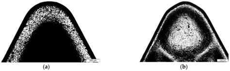 Effects of Tool Edge Geometry and Cutting Conditions on the Performance ...