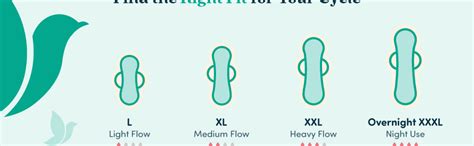 Buy Organic Sanitary Pads - L Fluffy (6 Pads) - Bliss Natural