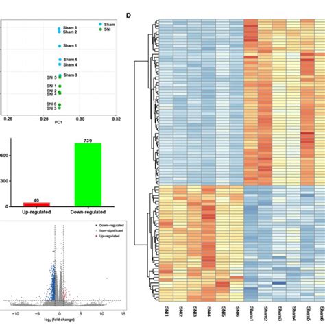 Image result for Transcriptomic Analysis