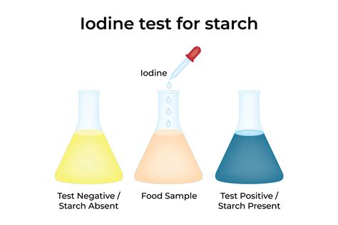 Iodine Test for Starch Visual Guide Graphic by hamjaiu · Creative Fabrica