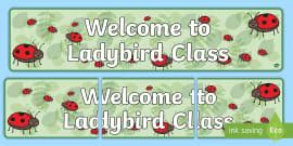 ladybird class Resource Pack - ladybird class Resource Pack