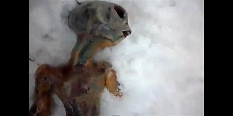 Image result for Alien Russland