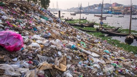 Environmental Issue 的图像结果