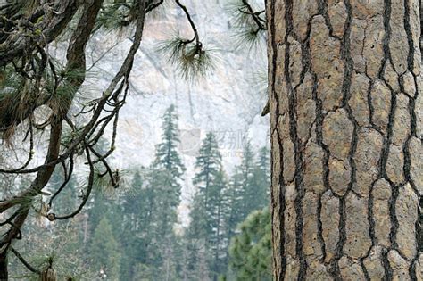 乔治 华盛顿 和 杰斐逊 国家 公园 的图像结果