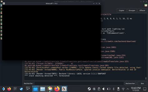 Image result for Stack Smashing Detected Terminated