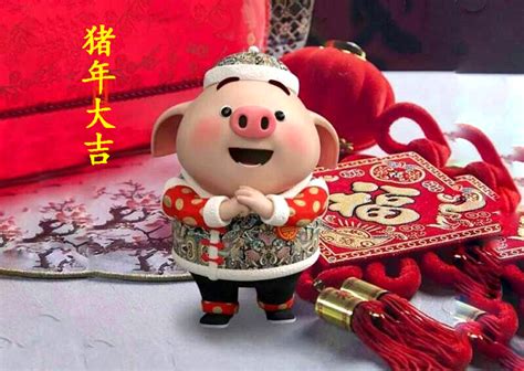 中国最早的猪长什么样——猪年话名猪（四）_河姆渡文化