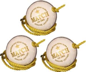 DIABLO Sports Leather Match Practice Hanging Cricket Ball White Pack of ...