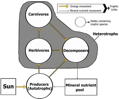 Image result for Decomposition Explained